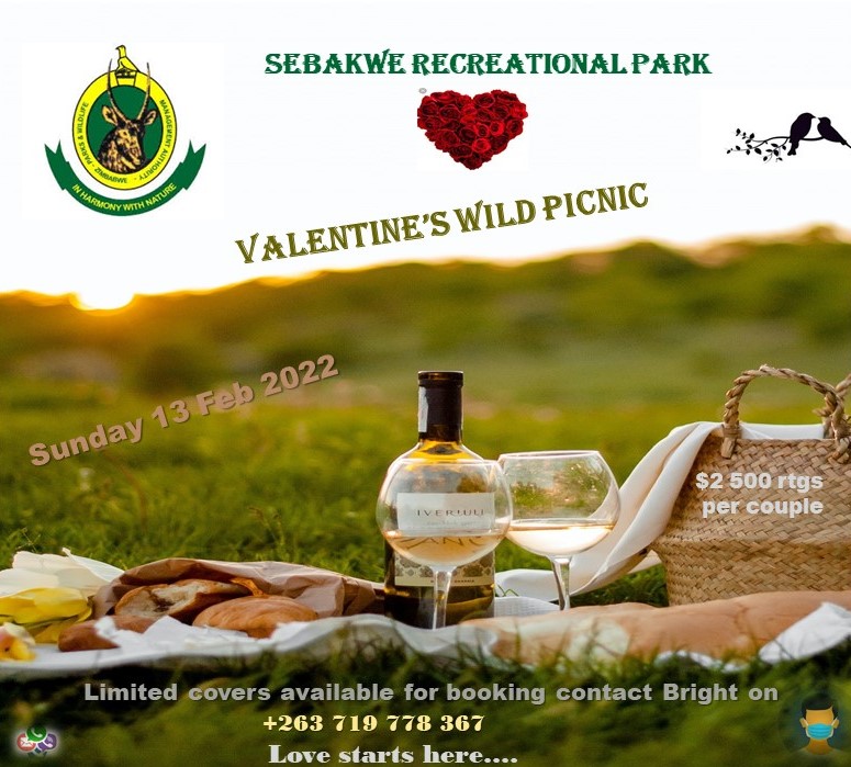 Zimparks's tweet photo. Where are you spending your Valentine's with your better half? Join us at Sebakwe Recreational Park for a Wild Valentine's Picnic!!!
#ValentinesDay 
#sebakwe
#inharmonywithnature https://t.co/JN7Po5Y1Bs