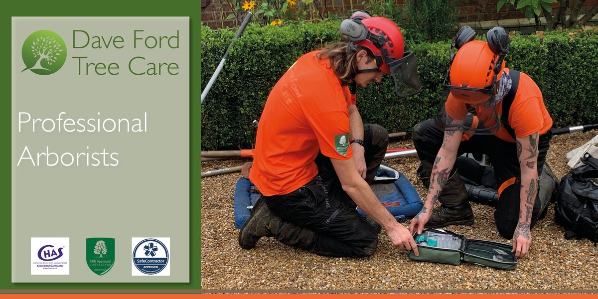 DFordTreeCare's tweet photo. 🌳 #TreePollarding is used to control a younger tree’s future size & shape. The technique involves cutting back the crown of the tree to the trunk to allow new branches to sprout from the cuts.
https://t.co/gytG7NiC6m
#DorkingArborist https://t.co/U0VF3A52YQ