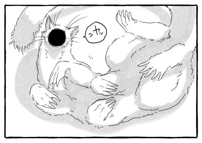 これも貂 