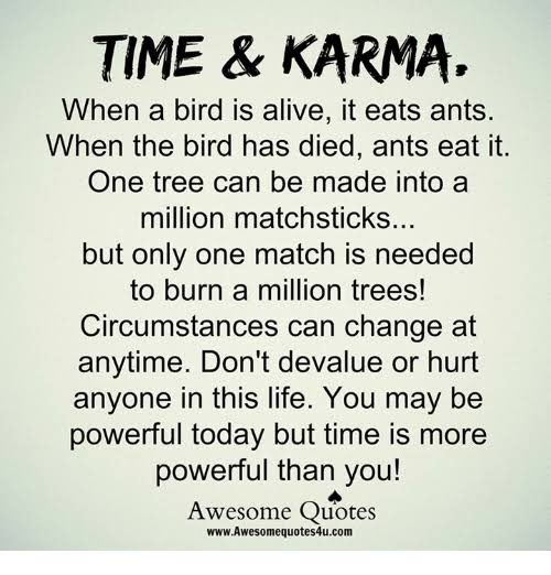 MParadillo's tweet photo. Afternoon thoughts over ☕️ https://t.co/o8OSnn1Hci