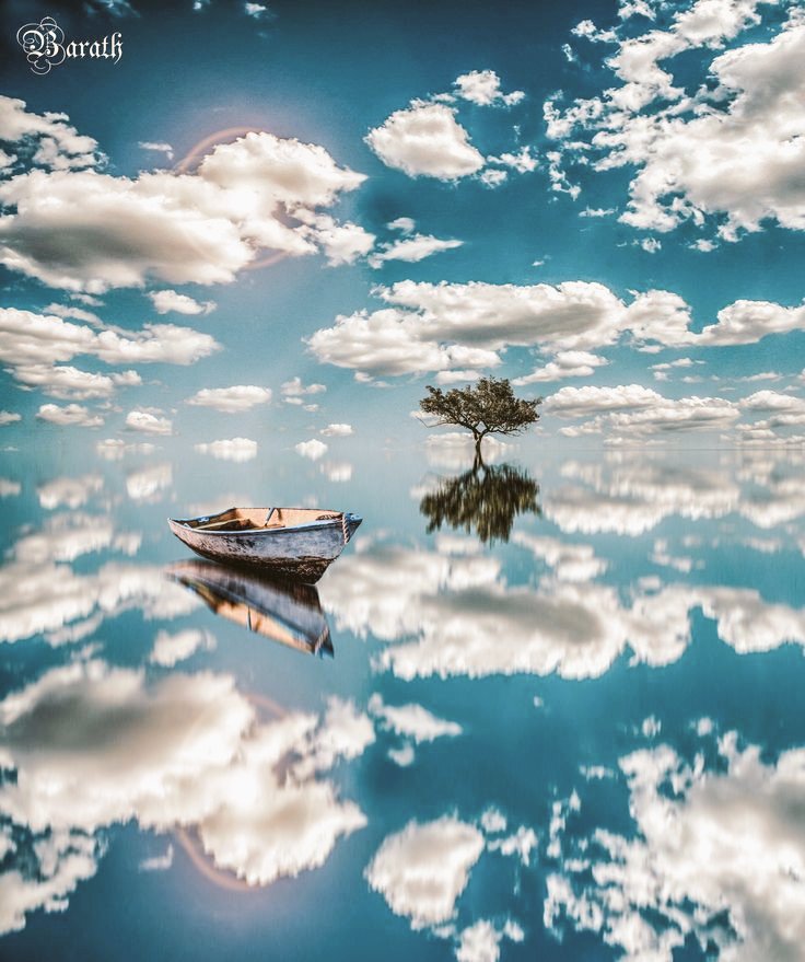 Faith Is Having The Courage To Let God Have Control.

#NatureBeauty #nature #quote