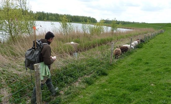 Life MICA tweet media