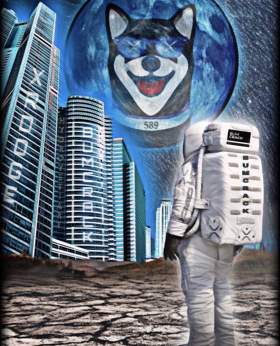 SWARTZ XRP ROCKET tweet media
