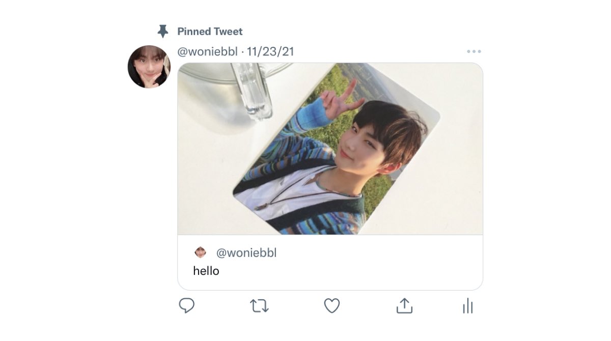 🐟 tweet media