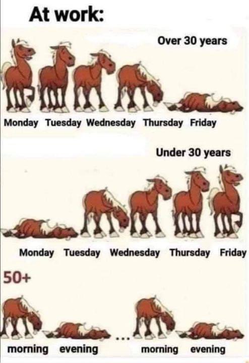 saddlbag's tweet photo. Do you agree? 😆🐴 https://t.co/zd9gMqrCrD