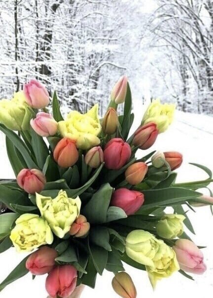 veskii4571's tweet photo. ВСЕМ ДОБРОГО ДНЯ!

Бывает проснёшься и всё просто хорошо… хорошо… и очень просто!..

Пусть утренняя улыбка поможет вам выбрать успешный путь на целый день - путь к успеху и счастью! 🤗 https://t.co/TlYwja7PX3