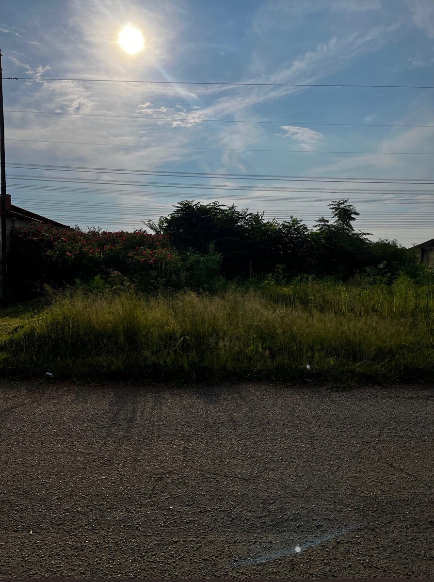 sandilek33's tweet photo. @City_Ekurhuleni @DAEkurhuleni I have made countless request for the city to come service its private land. What can I do Mayor  Campbell? https://t.co/Vqsss2UQq1