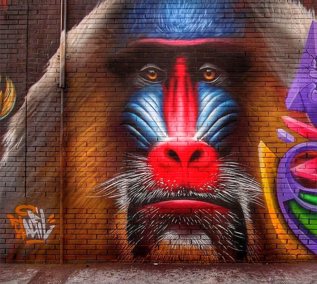 Bonjour tout le monde !