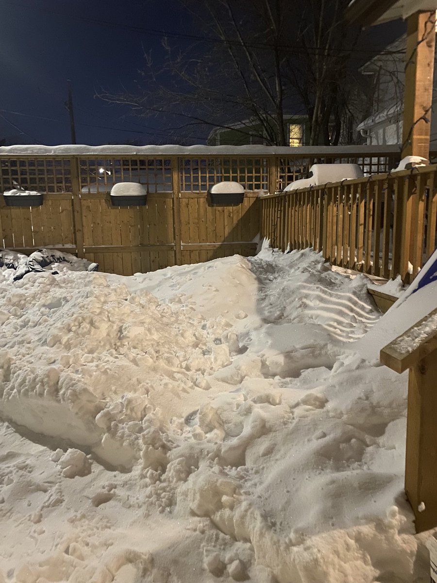 that girl tweet media