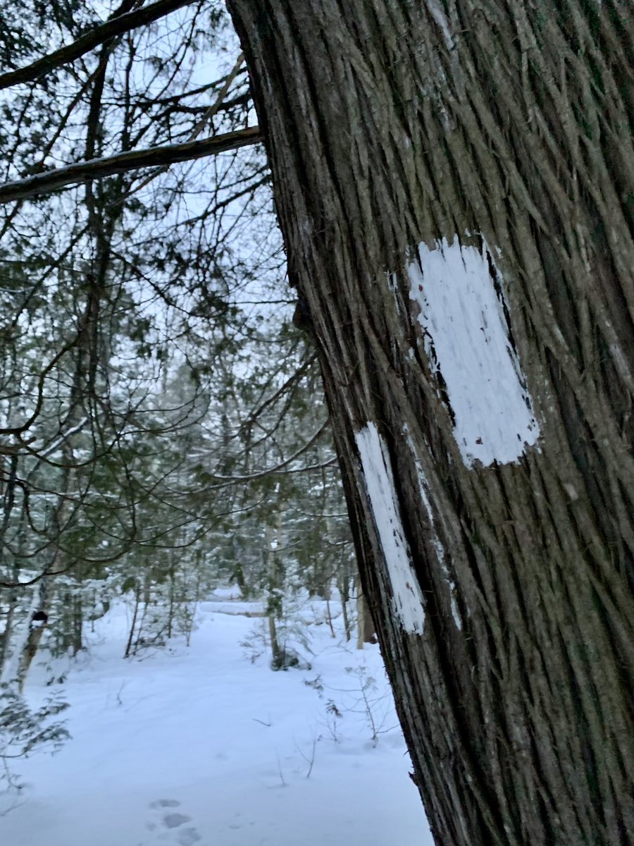 eugene_vin's tweet photo. The warm lights of #eatonhall @SenecaCollege @KingTownship .. led there by an intrepid & obviously talented #xcskier on another lightly #snowy #Canadian #winter day #1picadayforfun https://t.co/1Lt8YSsEpl