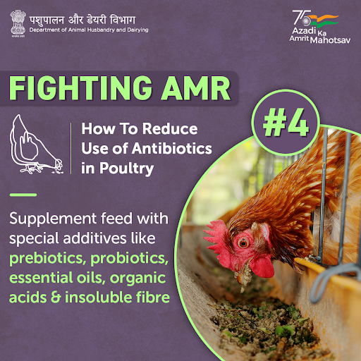 Dept_of_AHD's tweet photo. Feed additives recommended for the poultry diet promote useful bacteria in the gut, have antibacterial properties and keep intestines healthy.

#AmritMahotsav #AntimicrobialResistance #AnimalWealth #AnimalWealth #Poultry https://t.co/jkOnHerIQY