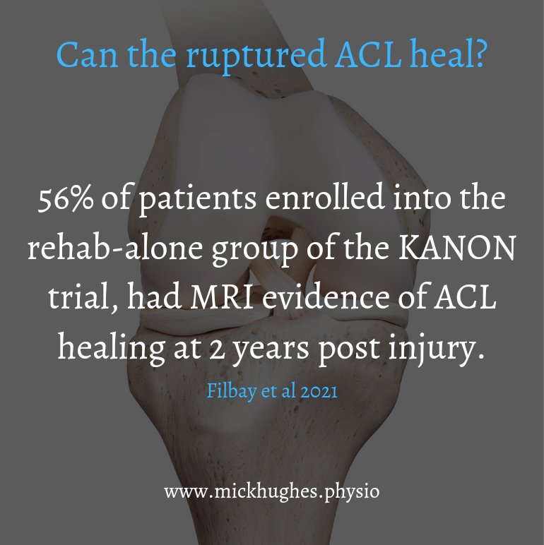 mickwhughes's tweet photo. Absolutely the ruptured ACL can heal.

We just need to give people a fighting chance to see if their ACL can heal.

To do this takes time.

A thread 🧵 https://t.co/kZj635ks1W