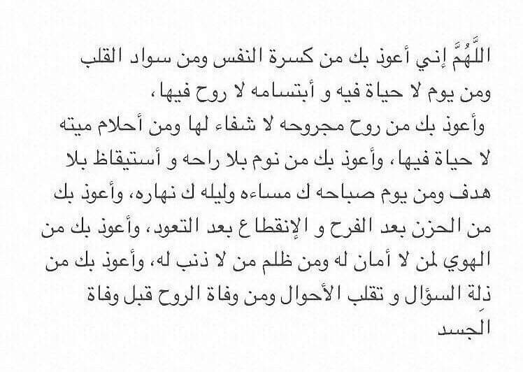 چيسي 🐞 tweet media