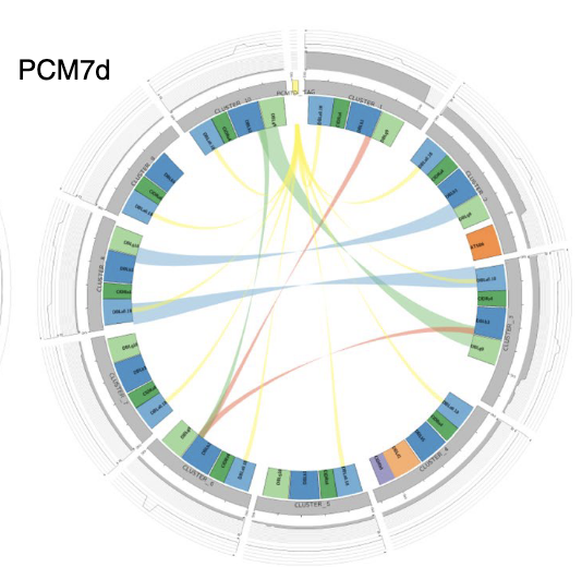 BiottofnI's tweet photo. Our tool to predict whole var genes from sequence tags (Varia) is published: https://t.co/kFvdKD3OYR

Due to the diversity of variable gene families, there are limitations, but overall, especially for expression studies, it should help the field to explore var genes in plasmodium https://t.co/ofbFNZCccc