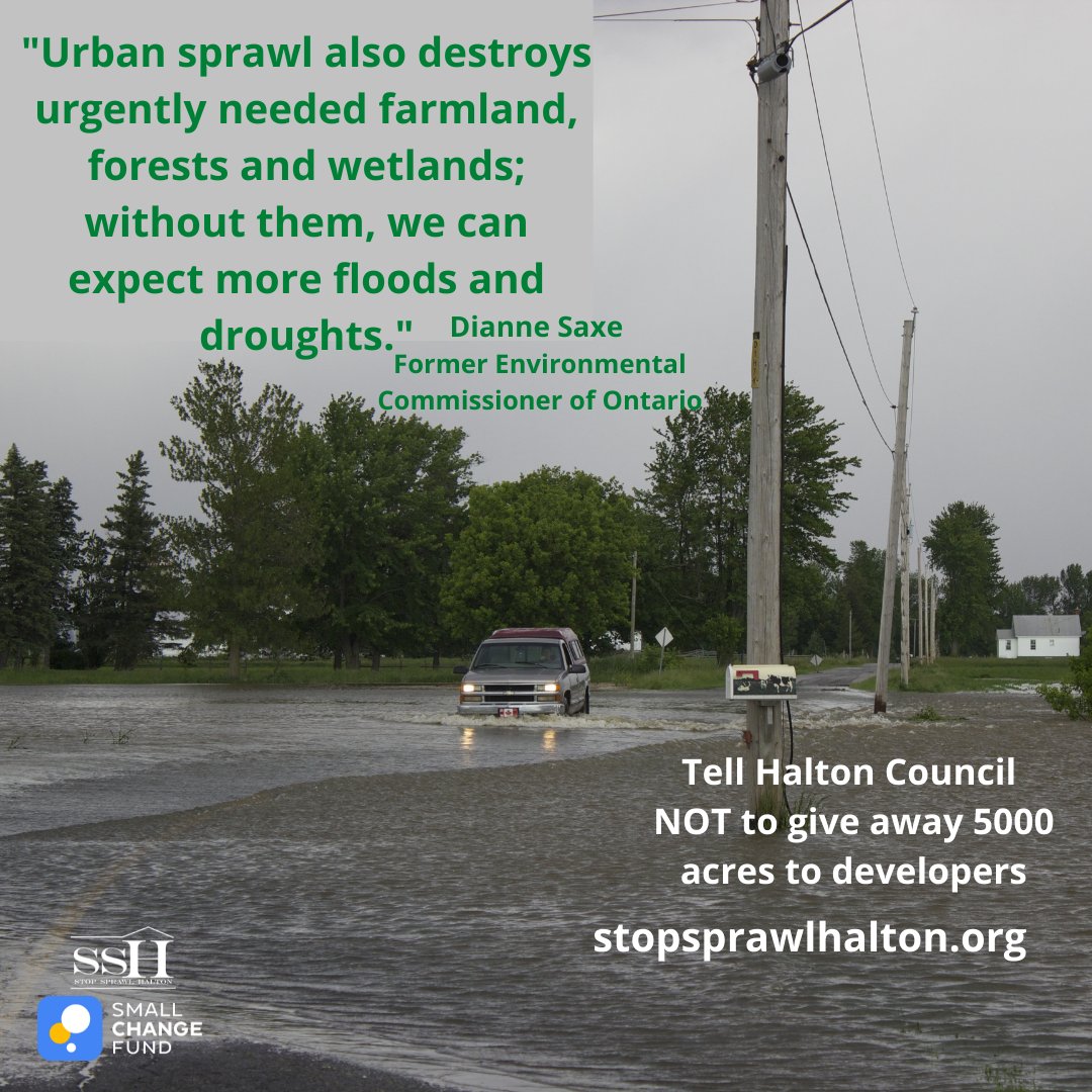 Stopsprawlhalt1's tweet photo. Unpaved, plant covered earth is our best protection against extreme weather.  It absorbs water and cleans the air.  It's a precious resource we cannot afford to throw away on short-term thinking. #stopsprawlhalton   #saveourfarmland  #tellyourcouncillor https://t.co/k9jjQxBmPN