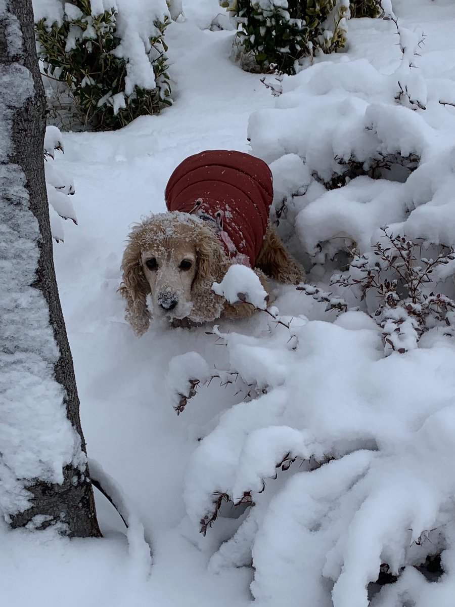 İtoş kızın da karda fotosu olmasın mı?