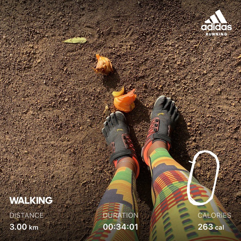 MumbaMusondam's tweet photo. Deeply grateful for this new day β¦.#MovementIsEverything! Morning walk + short run to start day. Beautiful skies. https://t.co/2GNwmYvWQI