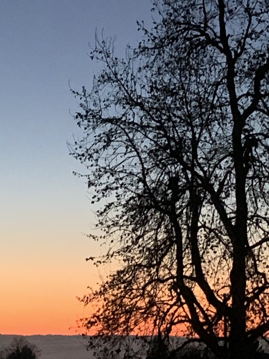NancyPettit's tweet photo. Serving up a sherbet sunset! #PNW #frommydeck #wawx #pdx across the @ColumbiaRiver https://t.co/lkMbAwyYnE