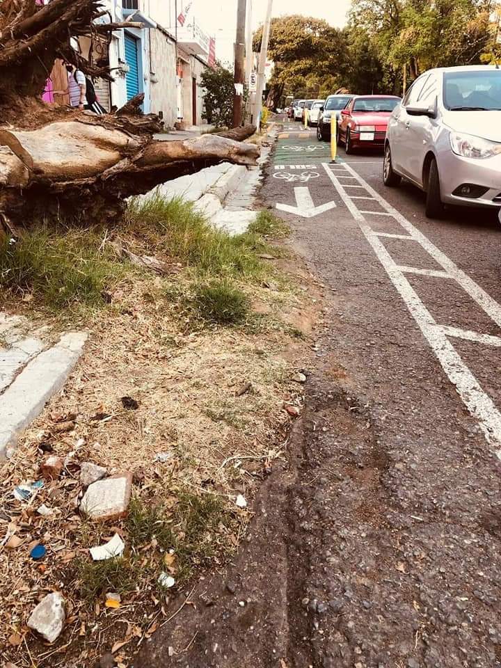 VERDADOLOROSSA's tweet photo. @OaxacaBicicltra @NiceaReyes @enbiciandooax Dónde está lo correcto y bien hecha??? Creo que a ustedes el SEMOVI les dio atole con el dedo medio. https://t.co/WiG5KWF4mJ