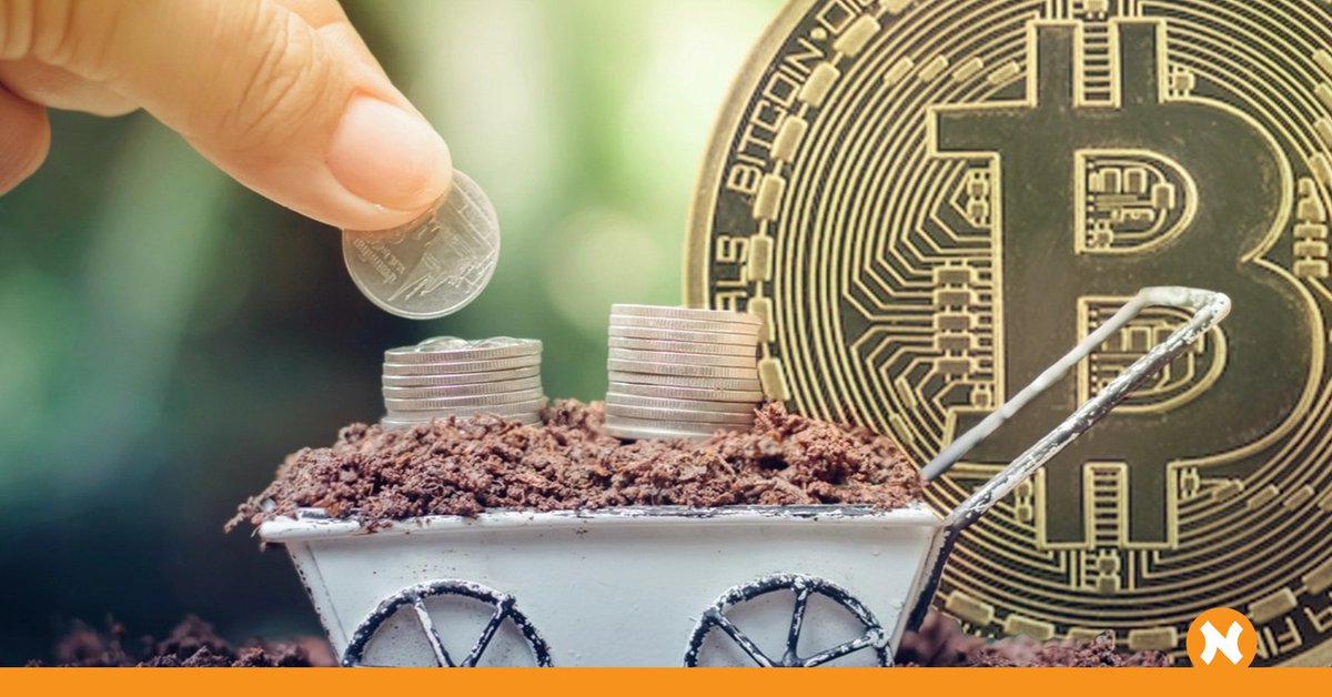 NextHash tweet media