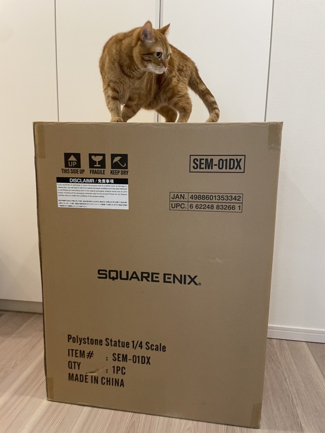 [閒聊] 花江夏樹 收到NieR的figure