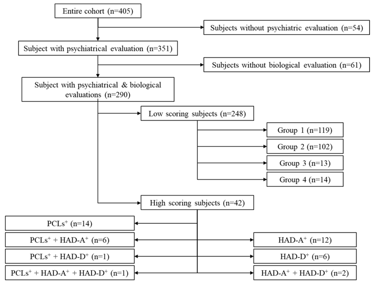 EJIHPE_MDPI's tweet photo. Welcome to read👉"The #Relationship between #Allostasis and #MentalHealth Patterns in a #PreDeployment French #Military Cohort" by Prof. Marion Trousselard et al.: https://t.co/RteTRECUV2
#BDNF #glucocorticoid #oxidativestress #psychopathology #stressresponse https://t.co/iyQ2d6CcqC