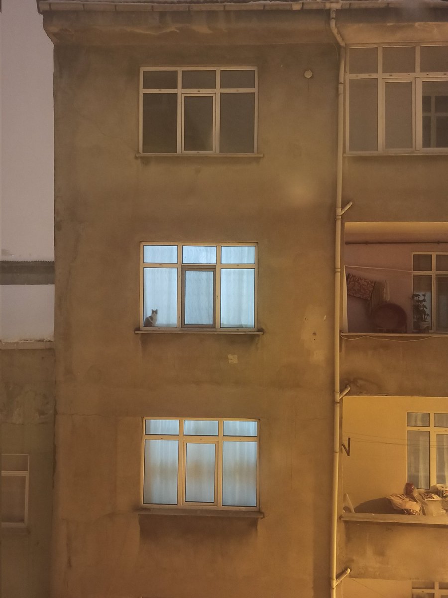 Komşu komşu hu huu