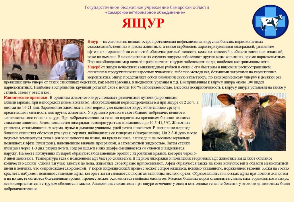 Управляющий микрорайоном 17Ц г.о. Тольятти (@um_17c_tlt) on Twitter photo 