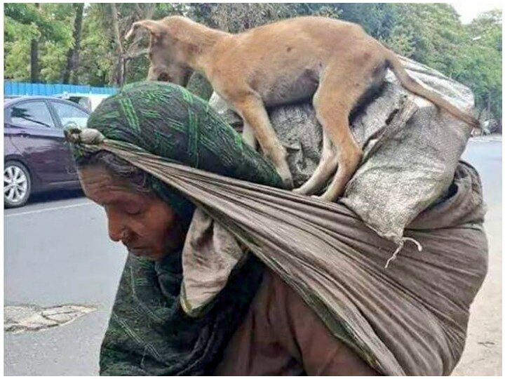 ताकतवर से तो रिश्ता सब रखना चाहते हैं
पर इंसान वही है
जो कमज़ोरों से भी प्यार निभा सके।
#naturelovers