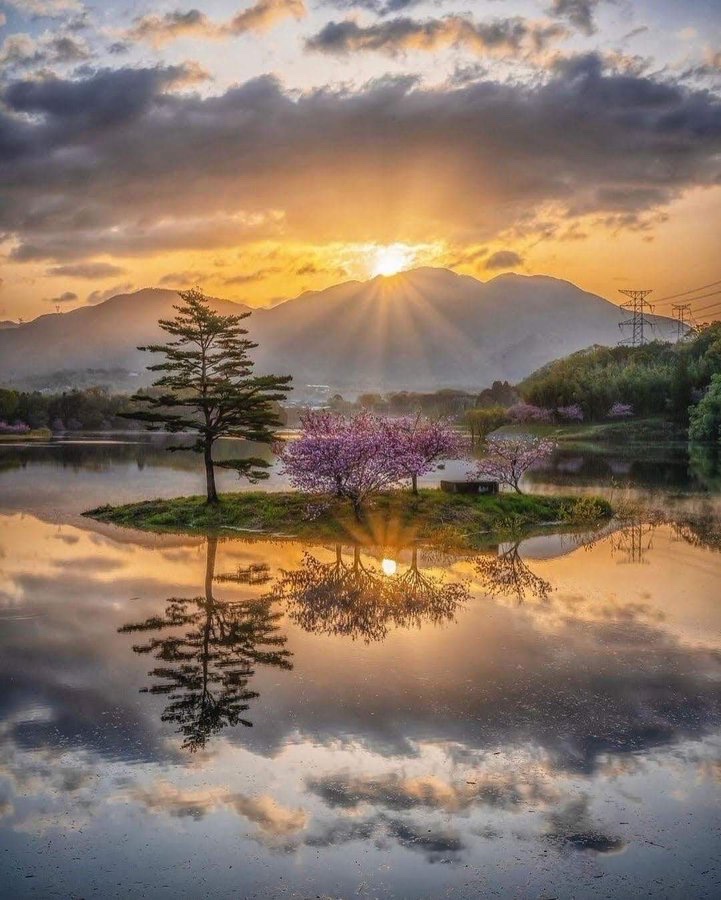 #nature #photographylovers