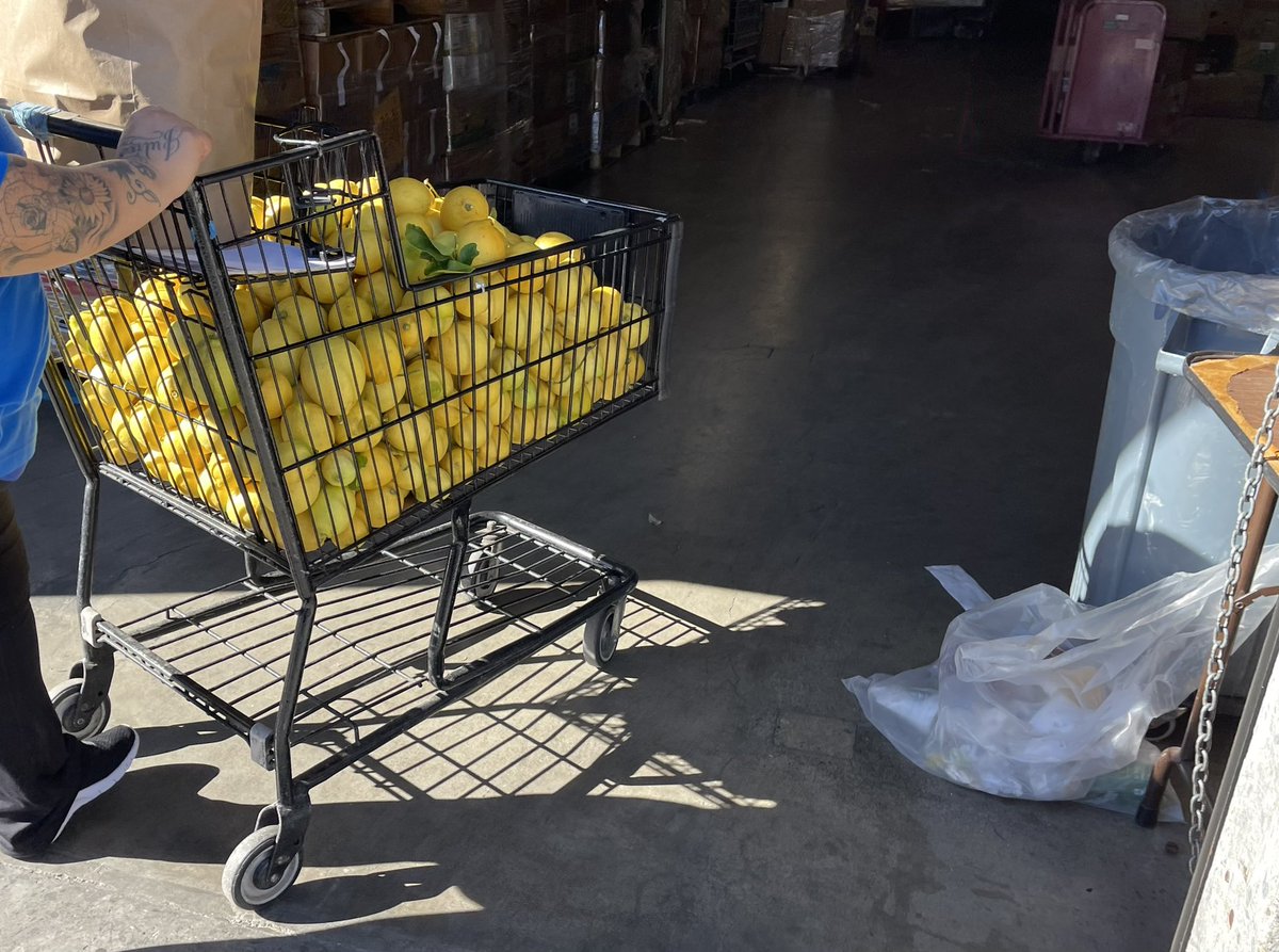 fruit4homeless's tweet photo. The lemons we picked on Saturday came out to a total of 190 pounds! Thanks again for your generous donation, Mr. Cheung! @ArcadiaRaymond #foothillunity https://t.co/IpvxesWS3X