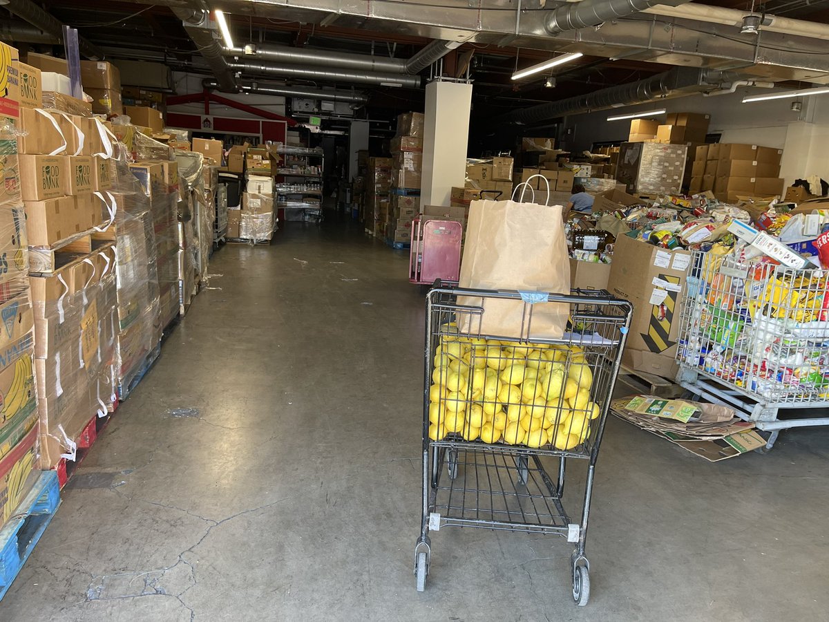 fruit4homeless's tweet photo. The lemons we picked on Saturday came out to a total of 190 pounds! Thanks again for your generous donation, Mr. Cheung! @ArcadiaRaymond #foothillunity https://t.co/IpvxesWS3X