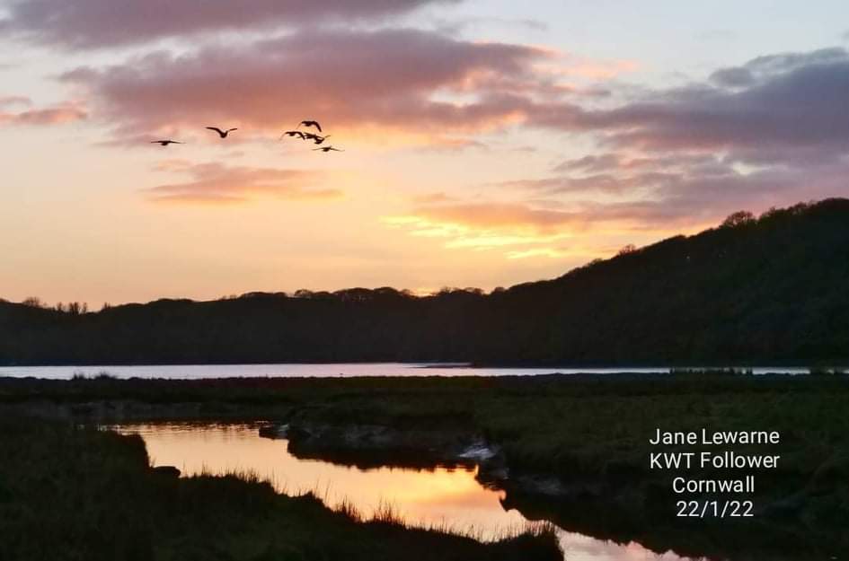KWTWeather's tweet photo. If lucky we might even get some sunshine.
Air temperature: 2°C - 10°C
Feel like: 1°C - 8°C
Wind: SE/NE 1mph - 15mph gusts 20mph
Pressure: 1034mb
Humidity: 75% - 100%
Cloud cover: 50% - 100%
Stay safe
Amie KWT
#wearher #wearherUpdate #cornwall #cornwalluk #kernow #cornishlife https://t.co/iIOeQ2VbTa
