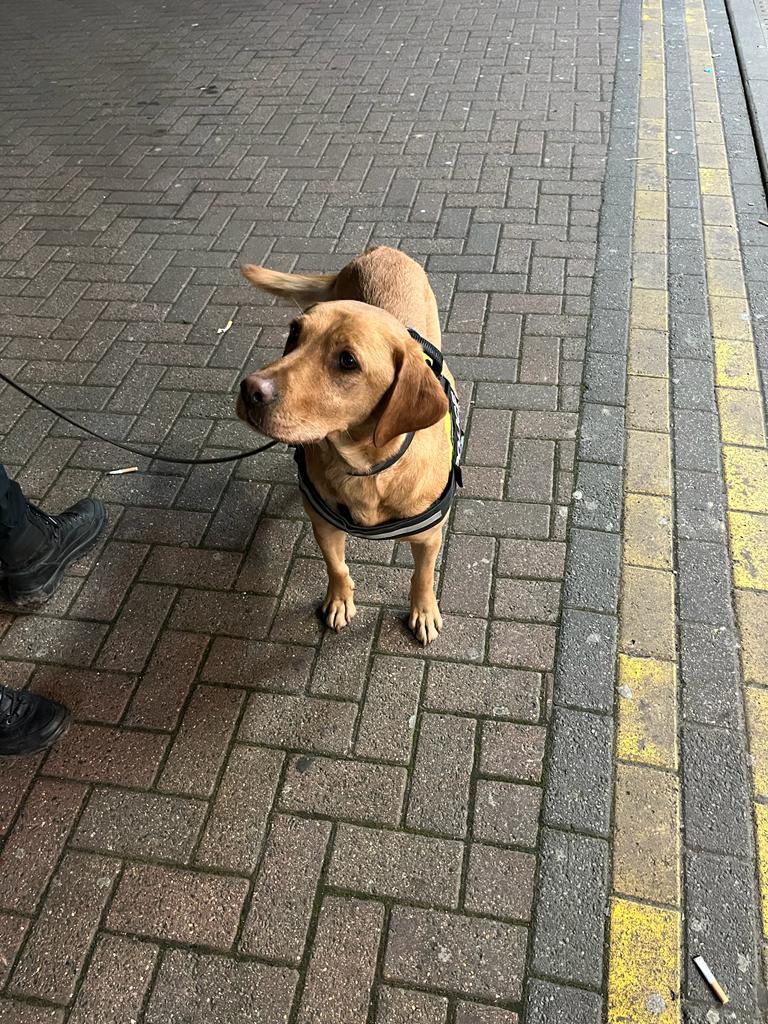 Lewisham Town Centre tweet media
