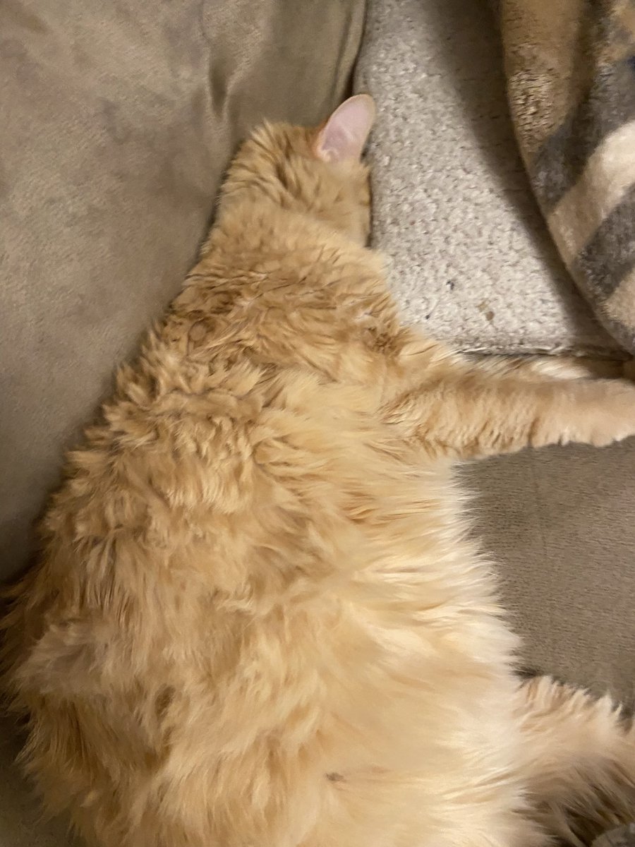 Audrey Stevens tweet media