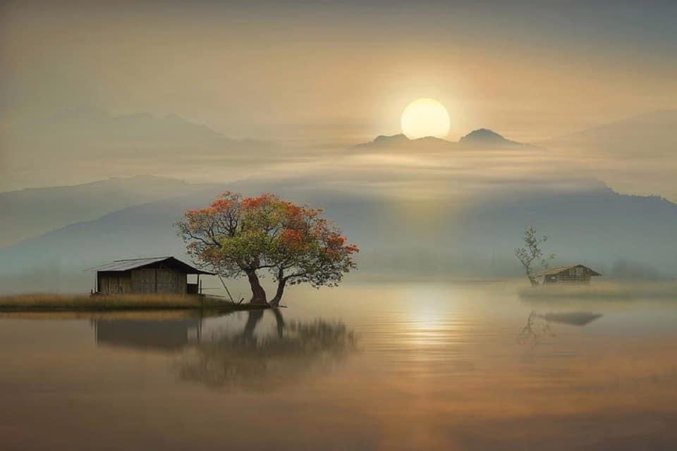 “La naturaleza hizo todas las cosas bien”.

Miguel Ángel Buonarroti 

¡Buenos días!
Bon dia!

📷Idrus Arsyad