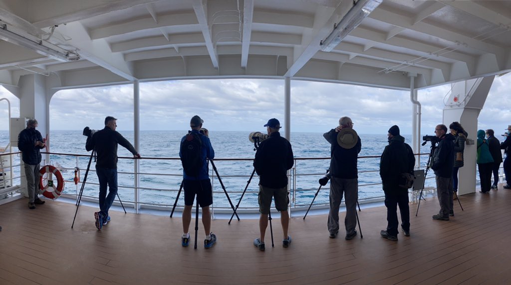 Long lens club sailing out of SA waters. #flocktomarion <a href="/bindobirding/">bïndo</a>