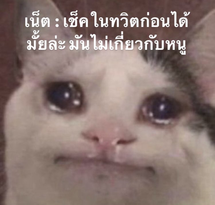 baee tweet media