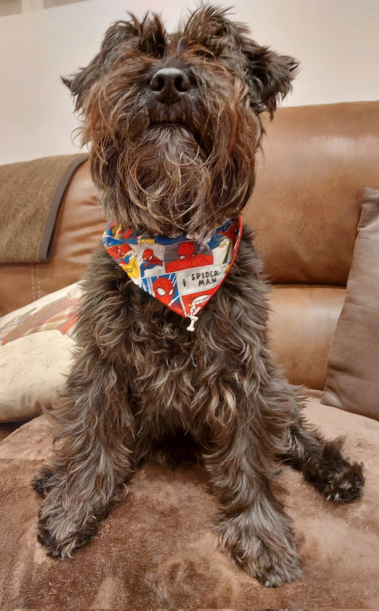 Happy Tuesday pals! 🐾🤗