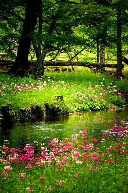 Good Day 💚💚💚💚
