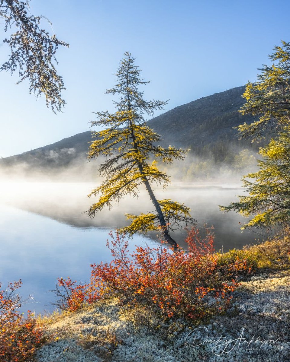 d_arkhipov's tweet photo. N15 #Kolyma  region. Far East of #Russia https://t.co/uUo5ZLc8Ah