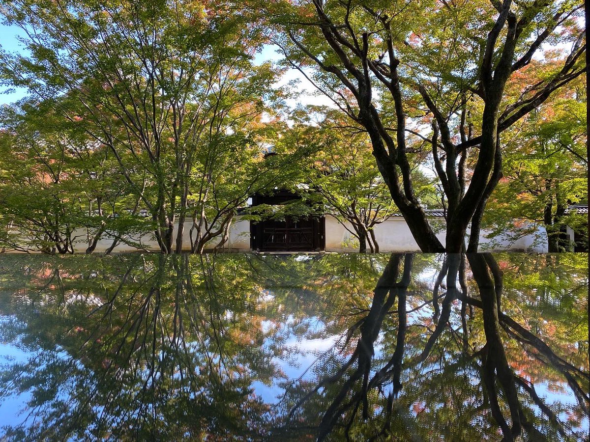 TjsFUeFoXeAp7vg's tweet photo. 妙覚寺🍀

※非公開寺院です https://t.co/SA9yaEzMSH