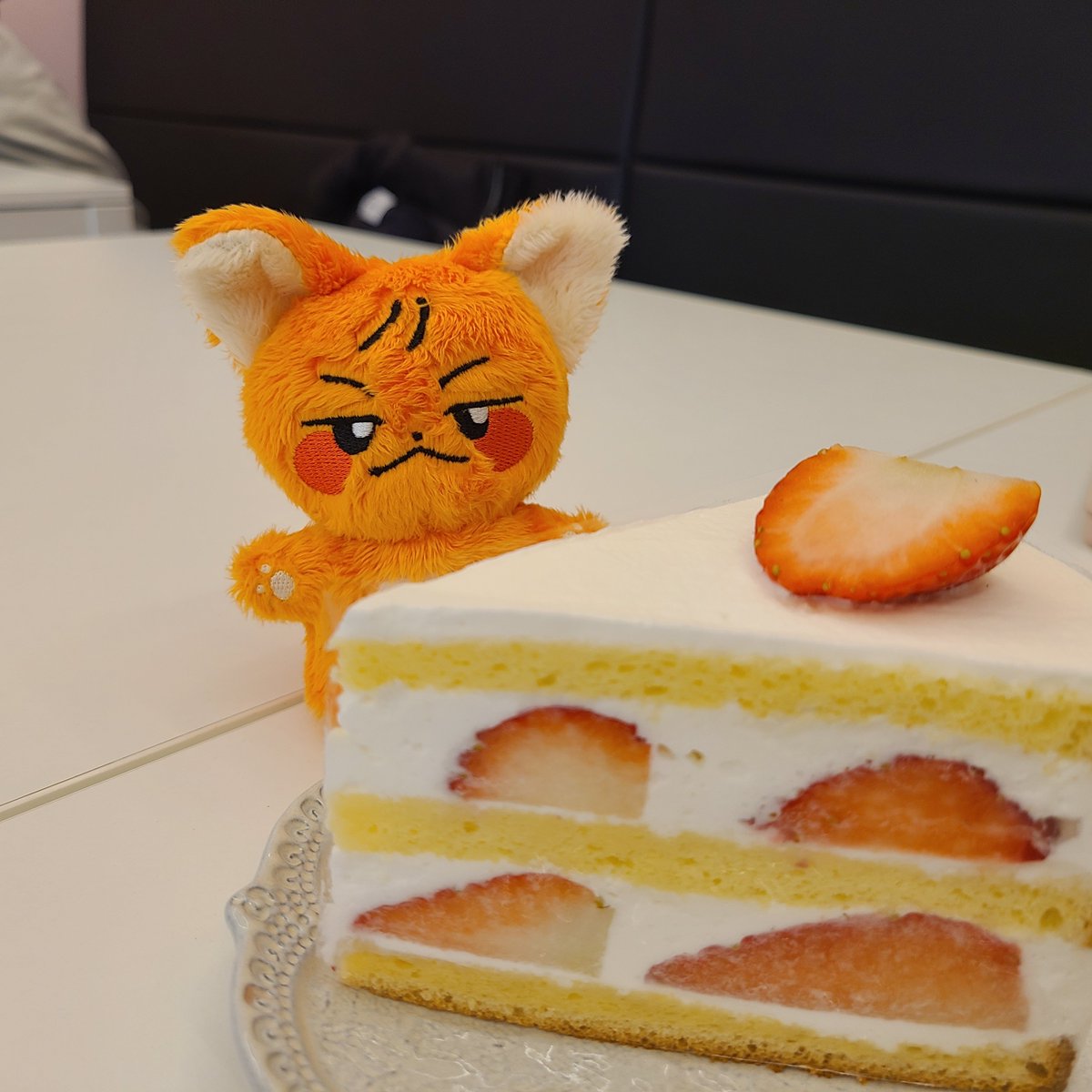 evaji_evaya's tweet photo. #그날의_여우뎨
우리 떵뎨의 첫 카페탐험 https://t.co/TVKGzzvtJ1