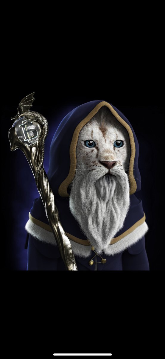 HappyBoyGarry's tweet photo. Gonna say it once more, if you are looking for something new buy @TheRoyalCubs! Reveal is tomorrow so buying now will mean you’re still early. Don’t let this one pass cause FOMO is a ***** and regret is also a ***** 😂 #NFTs #NFTCommunity #nftcollector #LFG https://t.co/TVWCdJo96U