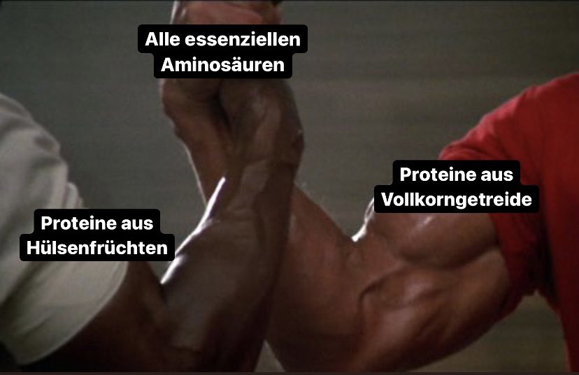 pflanzlich.stark tweet media