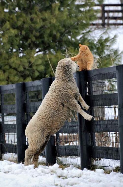 FJ7puiMX0AAKd9A?format=jpg&name=900x900