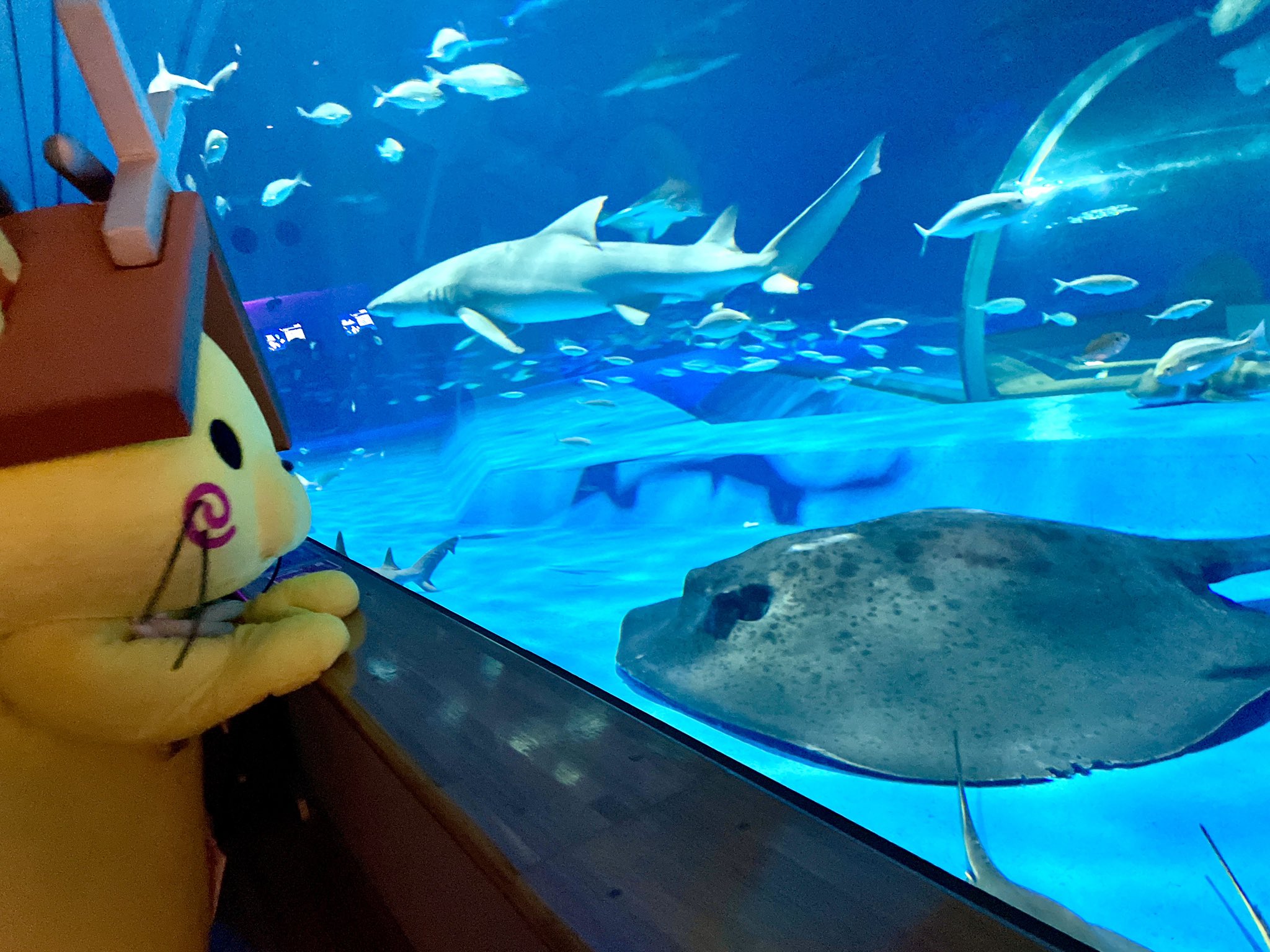 島根のおじさま Twitter Search Twitter