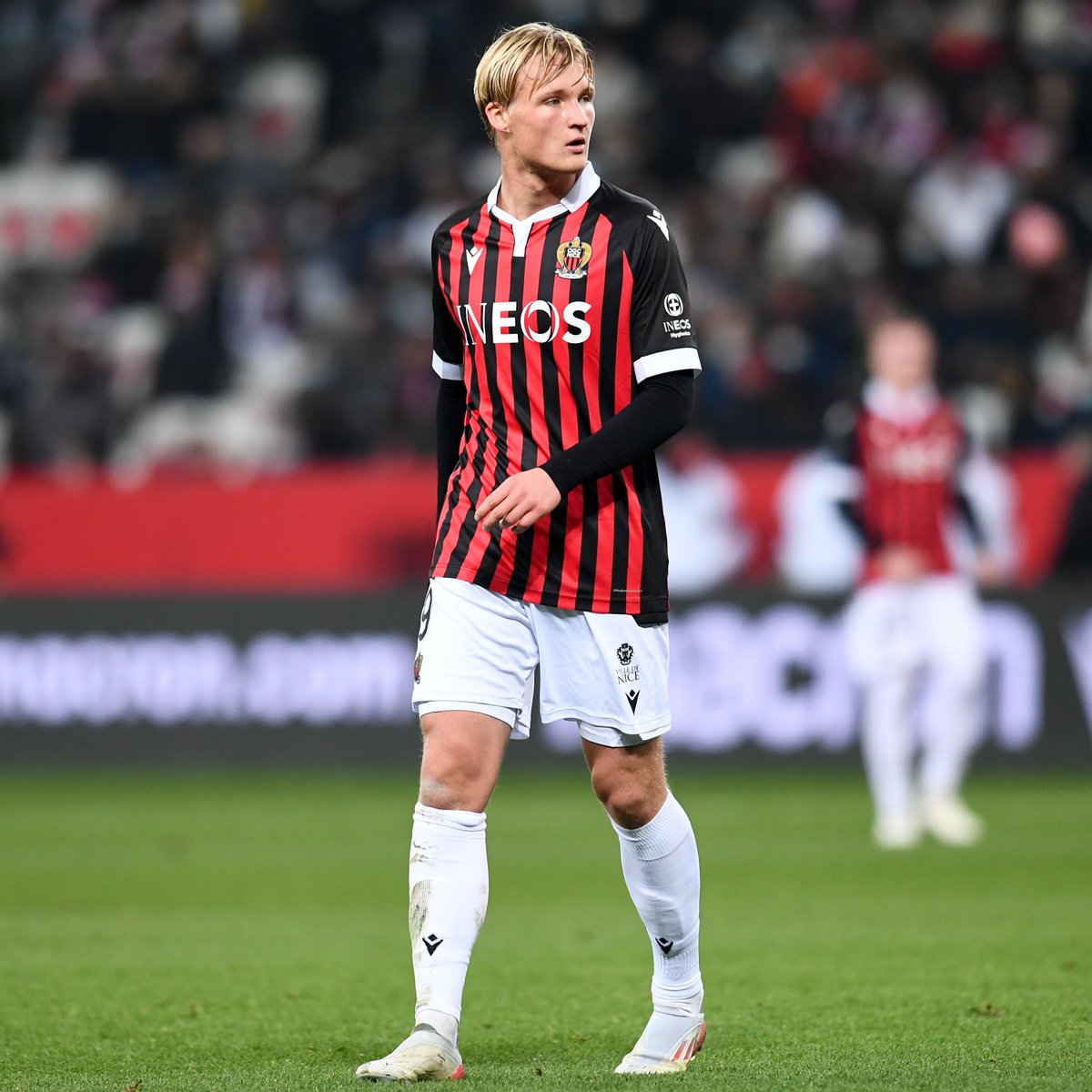 Matt Spiro tweet media