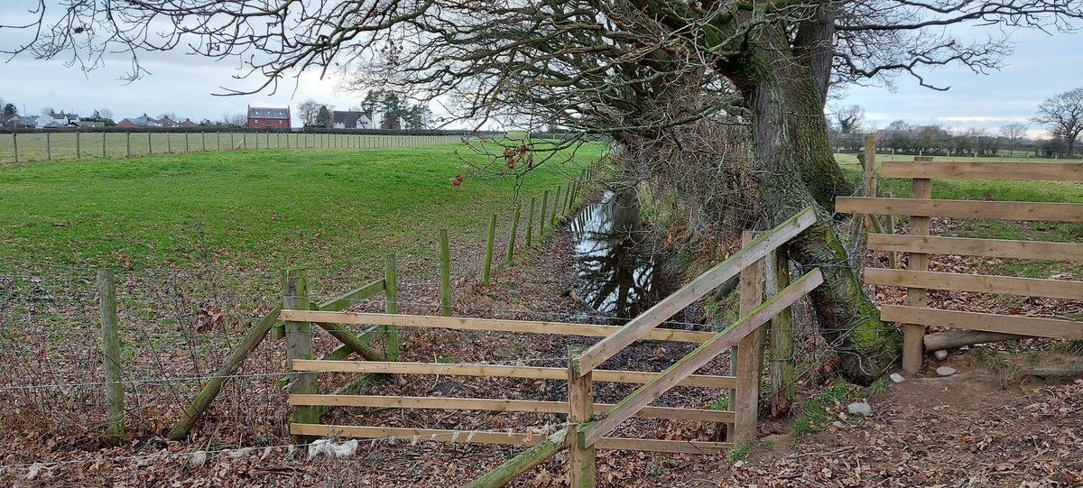 SteveTrotter1's tweet photo. Good to hear #AndrewBirley of @VindolandaTrust reported on @BBCr4today recognising the need to conserve #peatlands for their #Archaeology ...multiple benefits to looking after peatlands #WetterTheBetter #HadriansWall1900 #AD122 https://t.co/dpsgdTklf9