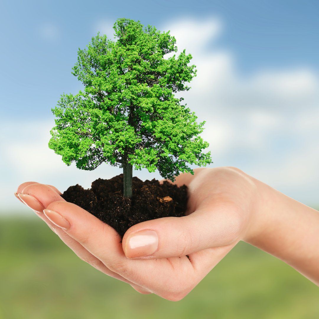 Know someone who is raising funds for #StreetTrees?
A third of people said they would consider saying it with a tree rather than a bouquet, according to research by the <a href="/NationalTrust/">National Trust</a>! Click the link in bio to find out more about #gifting trees on our fundraising tips page.